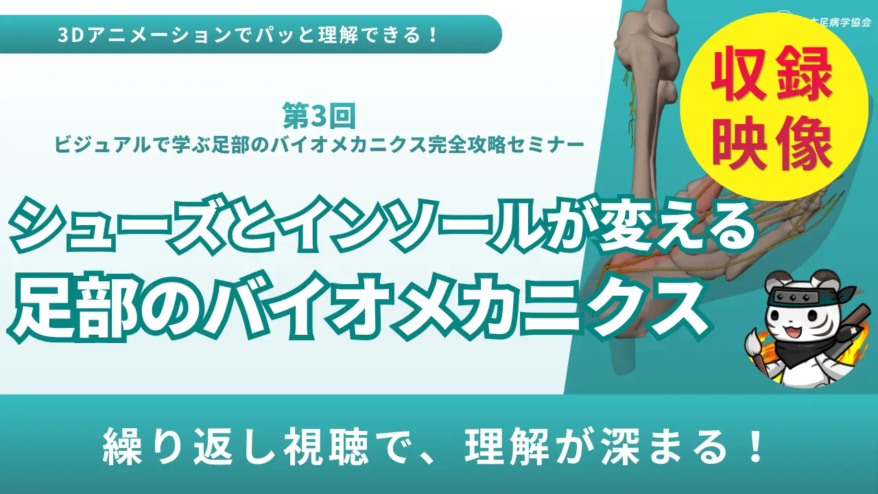 シューズとインソールが変える足部のバイオメカニクス