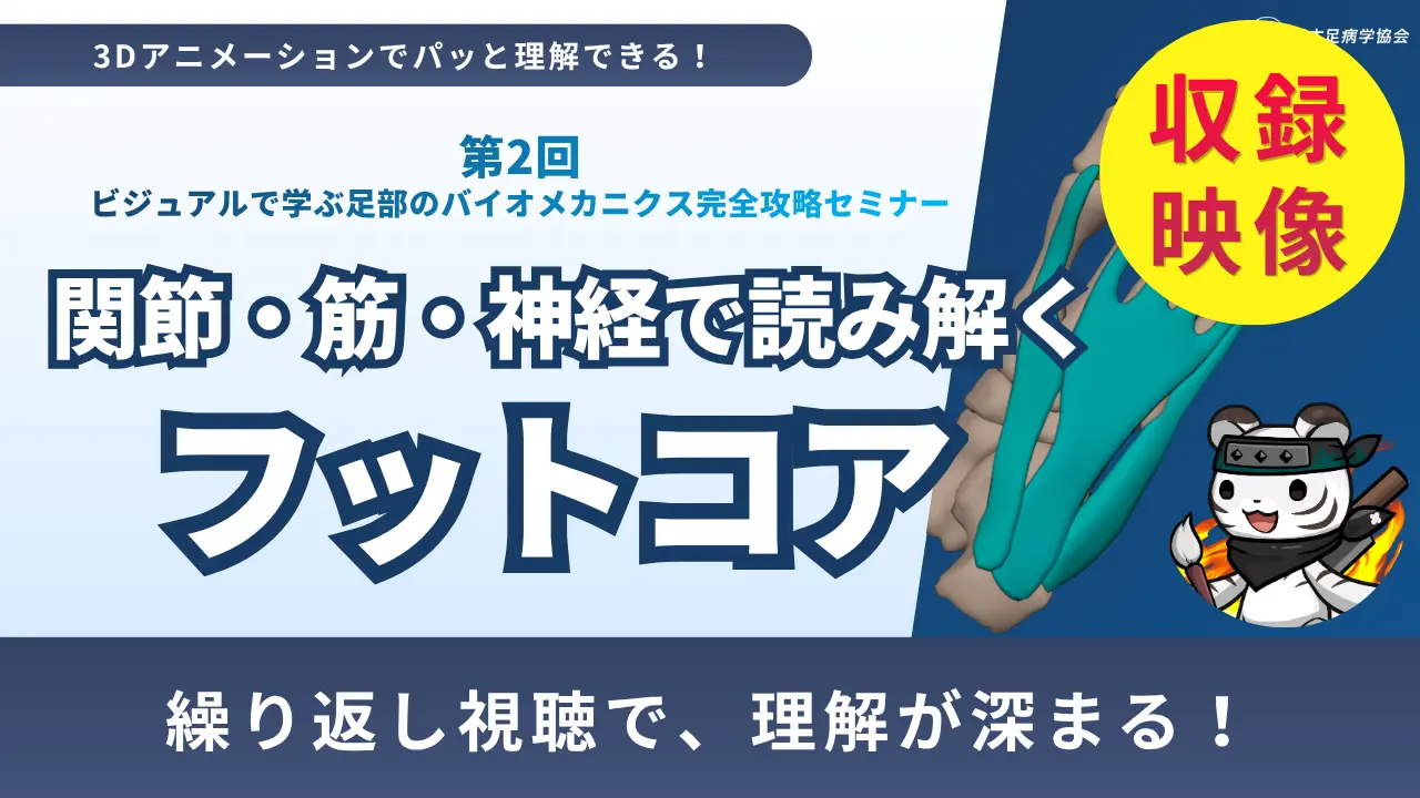 関節・筋・神経で読み解くフットコア 〜第2回 ビジュアルで学ぶ足部のバイオメカニクス完全攻略セミナー〜